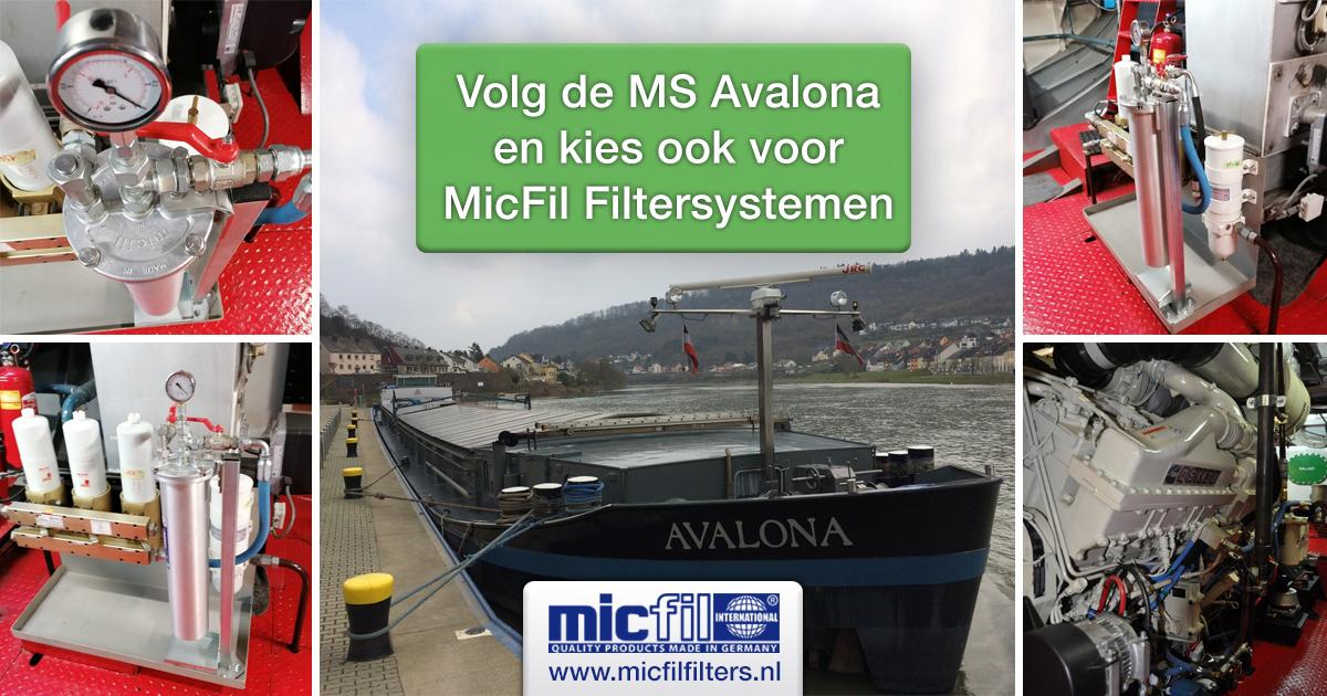 ms avalona MS Avalona