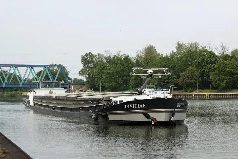 MS Divitiae