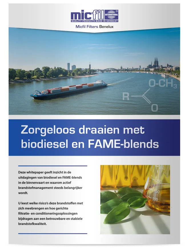 Whitepaper Biodiesel en fame blends